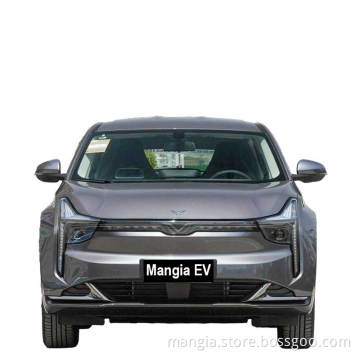manufacturer sells new electric car NETA U low price high-quality adult driving four-wheel electric car for sale ev car